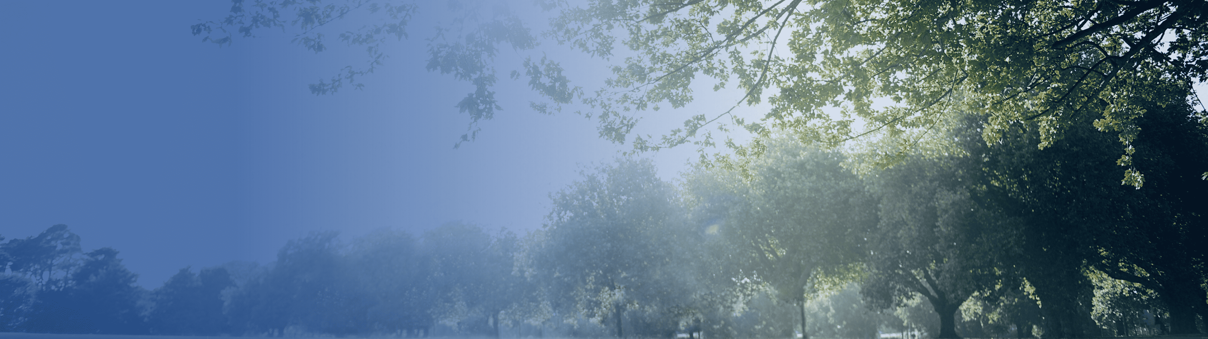 управление через turkov wi-fi